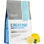 OstroVit Kreatin Monohydrát 500 g – Zboží Mobilmania