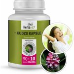 Herbavis KUDZU KAPSLE 100 kapslí – Hledejceny.cz