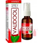 Vitateka Validol sprej 20 ml – Hledejceny.cz