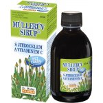 Müllerův sirup s jitrocelem bez cukru 245 ml – Hledejceny.cz