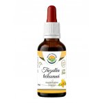 Salvia Paradise Třezalka tečkovaná AF tinktura 50 ml – Hledejceny.cz