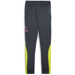 Puma kalhoty KING Pro Training Pants 658351-05