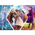 Trefl Frozen 2 Ledové království Sestry skládačka 48 x 34 cm 200 dílků – Zbozi.Blesk.cz