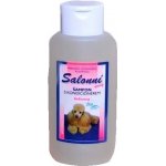Bea Natur Salonní s kondicionérem kokos 220 ml – Hledejceny.cz