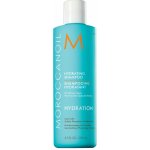 Moroccanoil Hydrating Shampoo 250 ml – Sleviste.cz