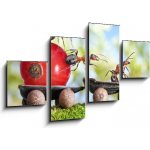 Obraz 4D čtyřdílný - 100 x 60 cm - ants deliver red currant with trailer of sunflower seeds mravenci dodávají červený rybíz s přívěsem slunečnicových semen – Zboží Mobilmania