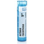 ACTAEA RACEMOSA POR 9CH GRA 1X4G – Hledejceny.cz