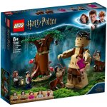 LEGO® Harry Potter™ 75967 Zapovězený les: Setkání Drápa a profesorky Umbridgeové – Hledejceny.cz