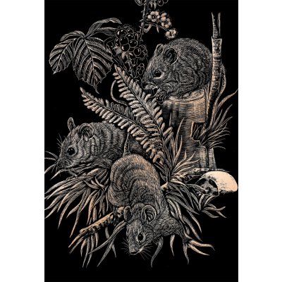 Royal & Langnickel Škrabací obr. stříbrný Polní myši – Zboží Dáma