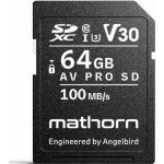 Mathorn Angelbird SDXC AV PRO 64GB AVP064SDV30MTH – Zboží Živě