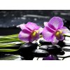 Tapety WEBLUX 32225654 Fototapeta plátno Oriental spa with orchid with and green plant on zen stones Orientální lázně s orchidejem a zelenou rostlinou na zenových kamenech rozměry 240 x 174 cm