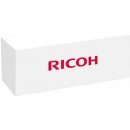 Ricoh D0896509/D0296509