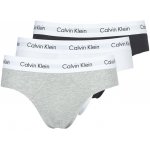 Calvin Klein 3 pack pánské slipy černé NB2379A-001 – Hledejceny.cz