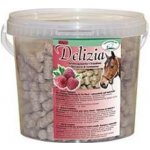 Delizia Pamlsky pro koně malina 3 kg – Hledejceny.cz