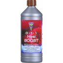 HESI Boost 1 L