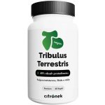 Citronek Tribulus terrestris 60 kapslí – Hledejceny.cz