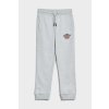 Dětské tepláky Gant D1. Banner Shield sweat pants light grey melange