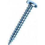 Vrut univerzální 6 x 30 půlkulatá hl. PZ 1026030-2 – Hledejceny.cz