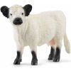 Figurka schleich Galloway kráva 13960