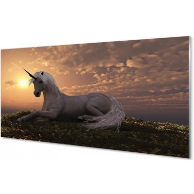 Obraz na skle Unicorn horské slunce 100x50 cm – Zbozi.Blesk.cz