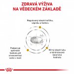 Royal Canin Veterinary Health Nutrition Cat Urinary S/O Moderate Calorie 7 kg – Zboží Mobilmania