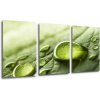 Obraz Impresi Obraz Kapky vody na listu - 120 x 60 cm (3 dílný)