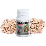 VALKNUT Kigelia Africana 100 kapslí – Zboží Dáma