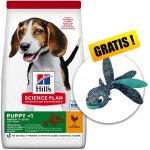 Hill’s Science Plan Puppy Medium Chicken 18 kg – Hledejceny.cz