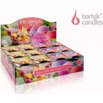 Bartek Candles FRUITFUL Berries Ice Cream 115 g – Zboží Mobilmania