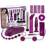 You2Toys Anal Passion sada erotických pomůcek – Zbozi.Blesk.cz