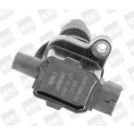 Zapalovací cívka BorgWarner (BERU) ZS429 – Hledejceny.cz