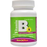 Nutristar Kyselina pantothenová B5 40 mg 100 tablet – Hledejceny.cz