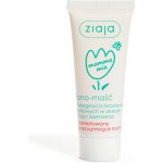 Ziaja Mamma Mia Lano lanolínová mast na bradavky 15 g – Zboží Dáma