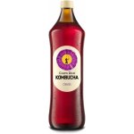 Carpe Diem Kombucha 0,75 l – Zboží Dáma