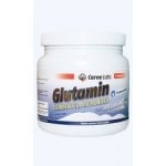 Carne Labs Glutamin 500 g – Hledejceny.cz