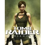 Tomb Raider Underworld – Hledejceny.cz