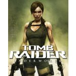 Tomb Raider Underworld – Sleviste.cz