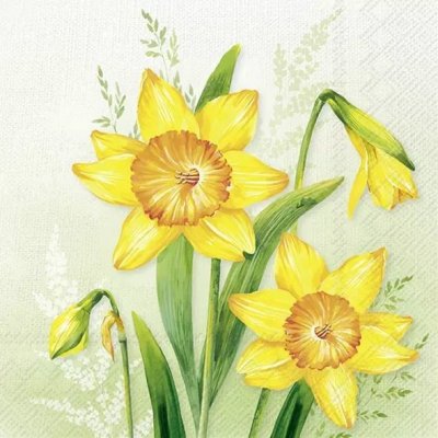 Ubrousek 33x33cm Narcisky – Hledejceny.cz