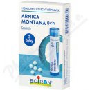 ARNICA MONTANA POR 9CH GRA 4G