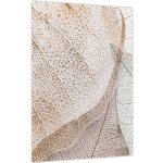 Obraz - Béžové listy, jednodílný 30x40 cm – Hledejceny.cz