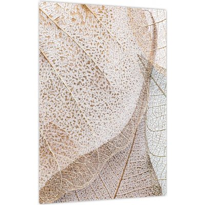 Obraz - Béžové listy, jednodílný 30x40 cm – Hledejceny.cz