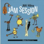 Jam Session -- Blues, Bop and Bach - Jiří Slíva – Hledejceny.cz