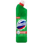 Domestos čistič WC Pine 750 ml – Zboží Dáma