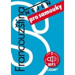 Ruština pro pokročilé - učebnice + 2x audio CD – Hledejceny.cz