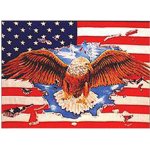 Vlajka USA EAGLE – Hledejceny.cz