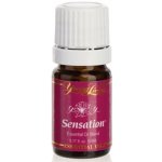 Young Living Směs esenciálních olejů Sensation 5 ml – Hledejceny.cz