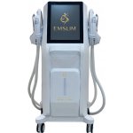 Moonlight EMSlim Max 2025 – Zboží Dáma