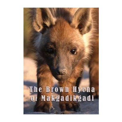 DVD Feature Film: The Brown Hyena Of Makgadikgadi