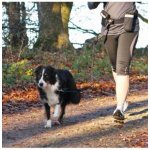 ASKINO Pás Hands Free 1 + vodítko – Zboží Dáma