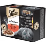 Sheba Cat Selection in Sauce Šťavnatý výběr 12 x 85 g – Zboží Mobilmania